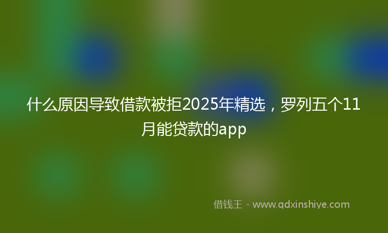 什么原因导致借款被拒2025年精选，罗列五个11月能贷款的app