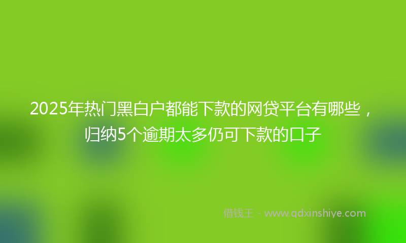 2025年热门黑白户都能下款的网贷平台有哪些，归纳5个逾期太多仍可下款的口子