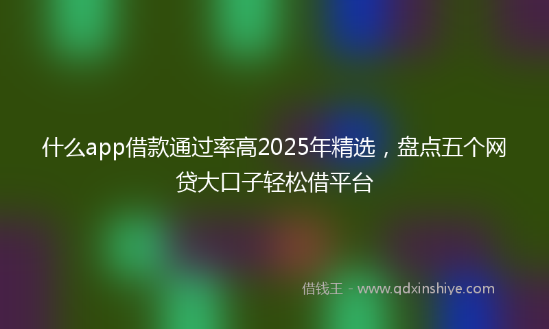 什么app借款通过率高2025年精选，盘点五个网贷大口子轻松借平台
