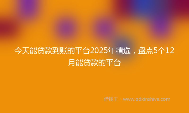 今天能贷款到账的平台2025年精选，盘点5个12月能贷款的平台