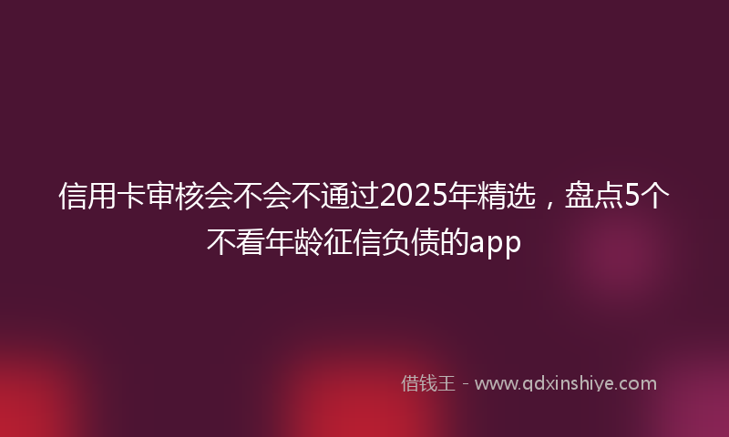 信用卡审核会不会不通过2025年精选，盘点5个不看年龄征信负债的app