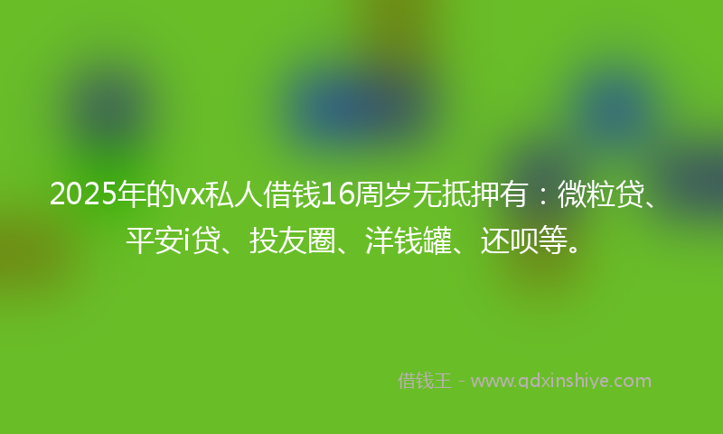 2025年的vx私人借钱16周岁无抵押有：微粒贷、平安i贷、投友圈、洋钱罐、还呗等。