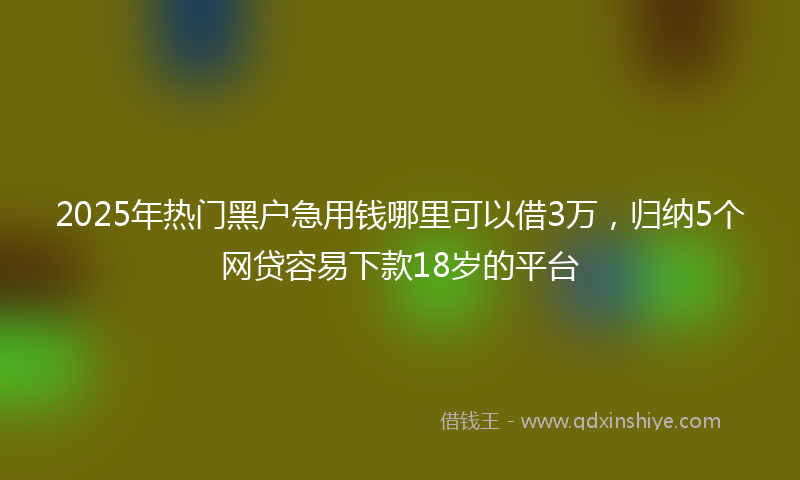 2025年热门黑户急用钱哪里可以借3万，归纳5个网贷容易下款18岁的平台