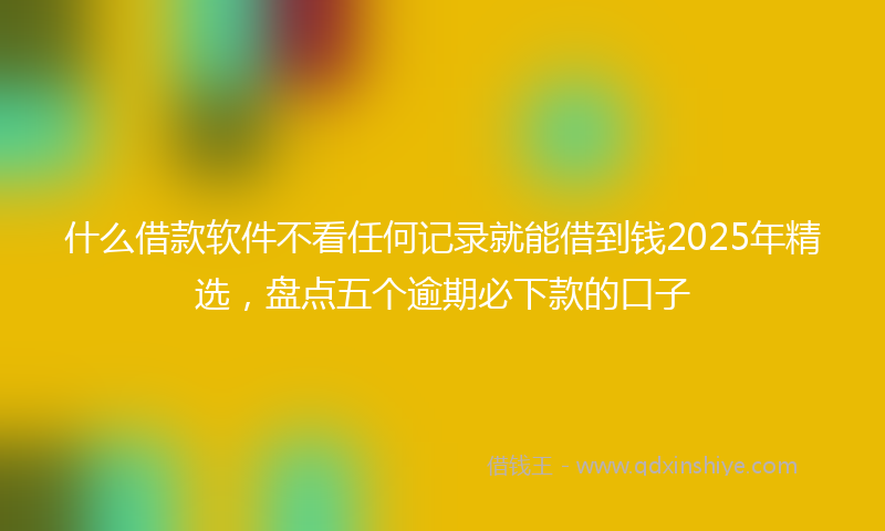 什么借款软件不看任何记录就能借到钱2025年精选，盘点五个逾期必下款的口子