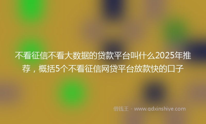 不看征信不看大数据的贷款平台叫什么2025年推荐，概括5个不看征信网贷平台放款快的口子