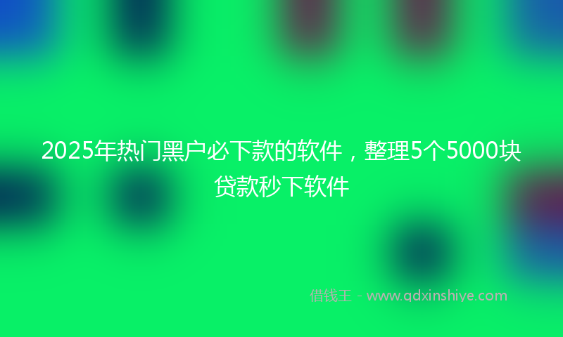 2025年热门黑户必下款的软件，整理5个5000块贷款秒下软件