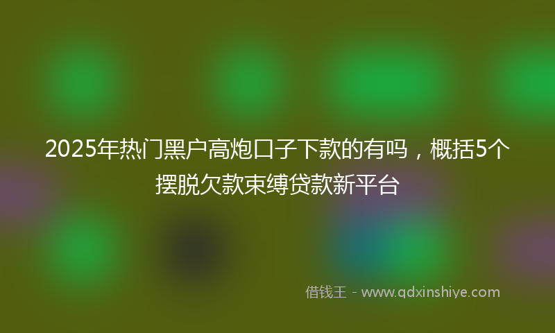 2025年热门黑户高炮口子下款的有吗，概括5个摆脱欠款束缚贷款新平台
