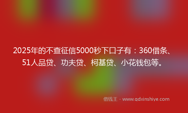 2025年的不查征信5000秒下口子有：360借条、51人品贷、功夫贷、柯基贷、小花钱包等。