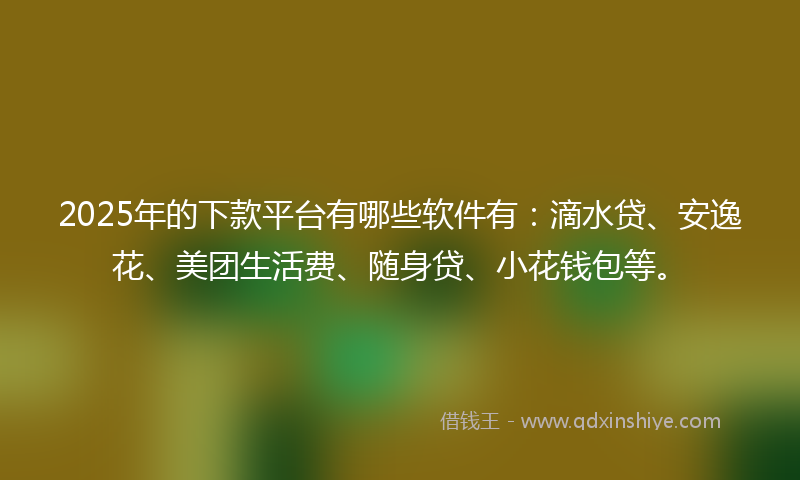 2025年的下款平台有哪些软件有：滴水贷、安逸花、美团生活费、随身贷、小花钱包等。