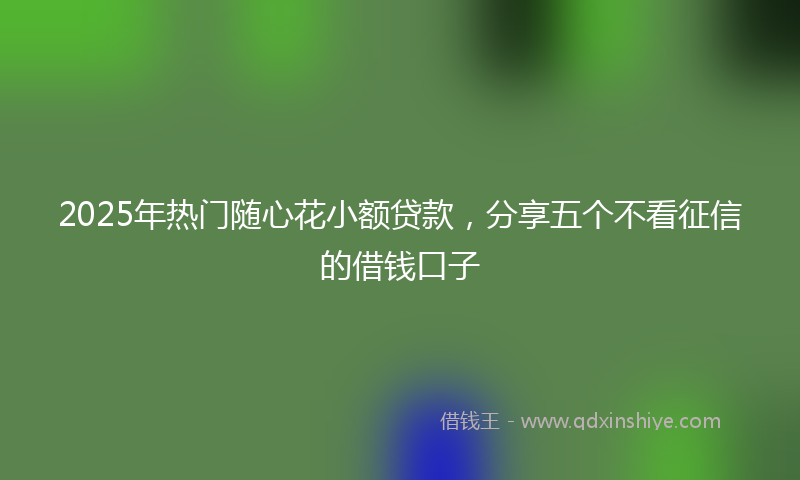 2025年热门随心花小额贷款，分享五个不看征信的借钱口子