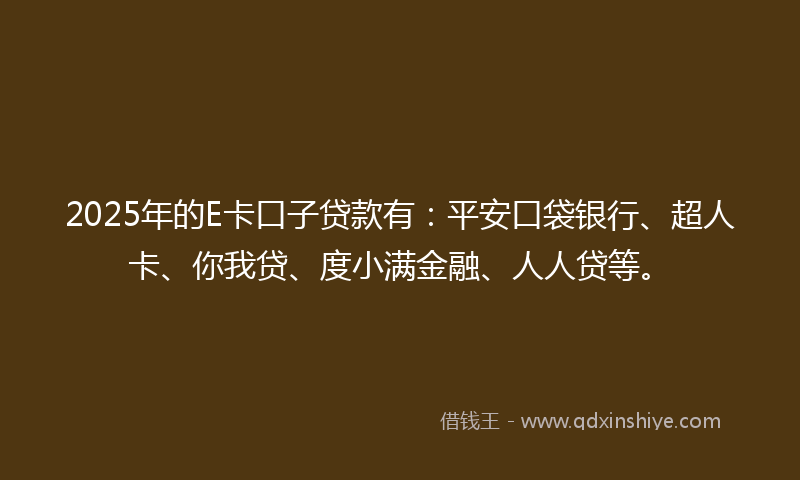 2025年的E卡口子贷款有：平安口袋银行、超人卡、你我贷、度小满金融、人人贷等。