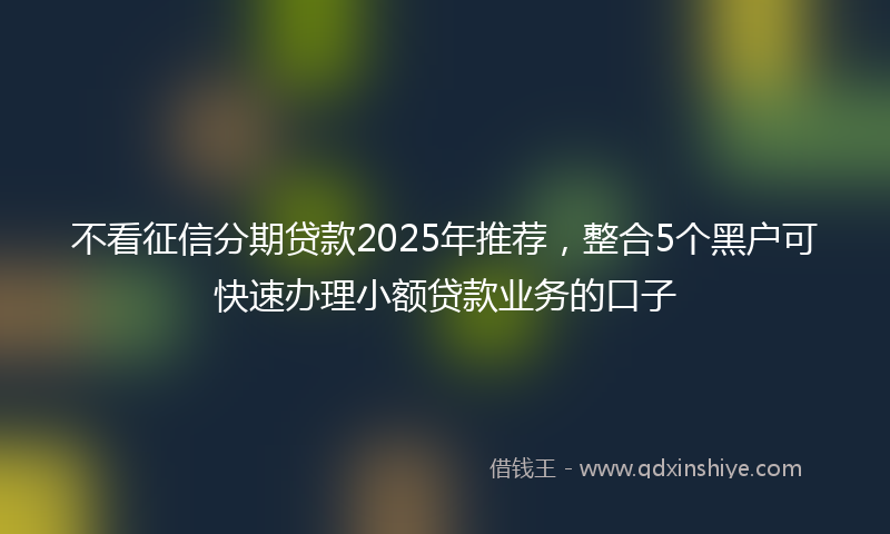 不看征信分期贷款2025年推荐，整合5个黑户可快速办理小额贷款业务的口子