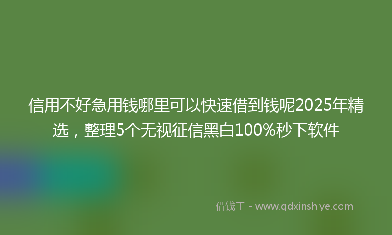 信用不好急用钱哪里可以快速借到钱呢2025年精选，整理5个无视征信黑白100%秒下软件