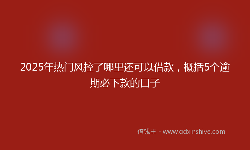 2025年热门风控了哪里还可以借款，概括5个逾期必下款的口子