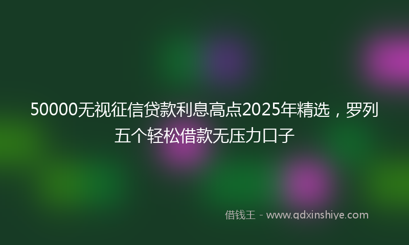 50000无视征信贷款利息高点2025年精选，罗列五个轻松借款无压力口子