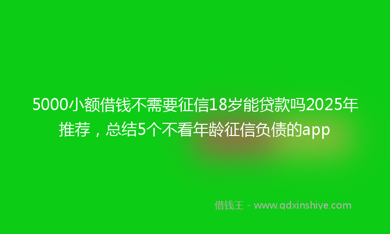 5000小额借钱不需要征信18岁能贷款吗2025年推荐，总结5个不看年龄征信负债的app