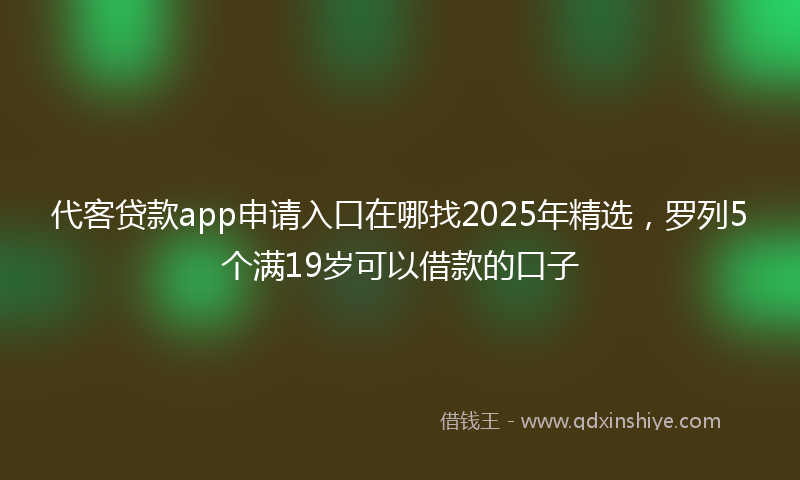 代客贷款app申请入口在哪找2025年精选，罗列5个满19岁可以借款的口子
