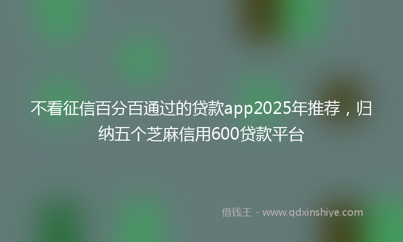 不看征信百分百通过的贷款app2025年推荐，归纳五个芝麻信用600贷款平台
