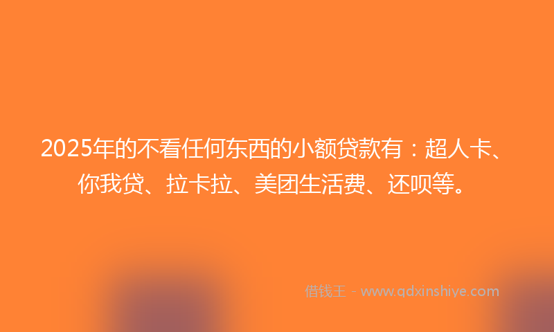 2025年的不看任何东西的小额贷款有：超人卡、你我贷、拉卡拉、美团生活费、还呗等。