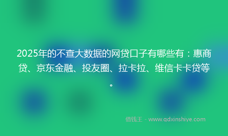 2025年的不查大数据的网贷口子有哪些有：惠商贷、京东金融、投友圈、拉卡拉、维信卡卡贷等。