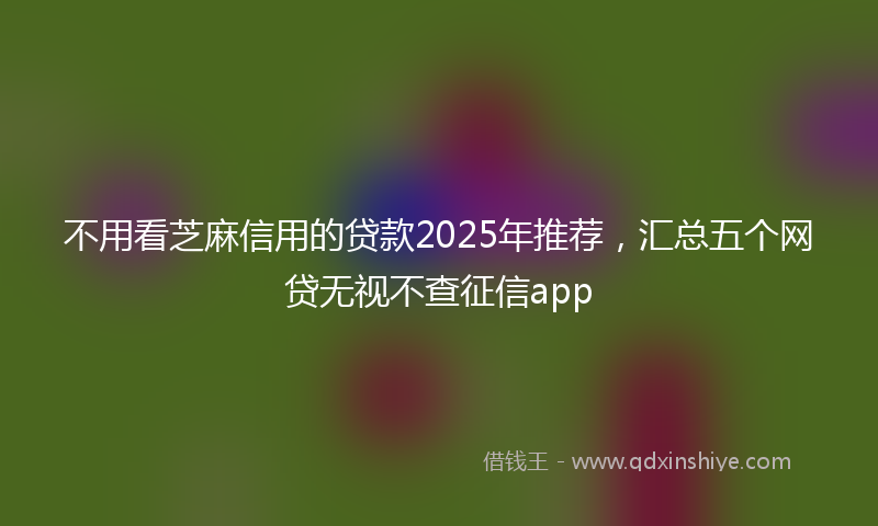 不用看芝麻信用的贷款2025年推荐，汇总五个网贷无视不查征信app