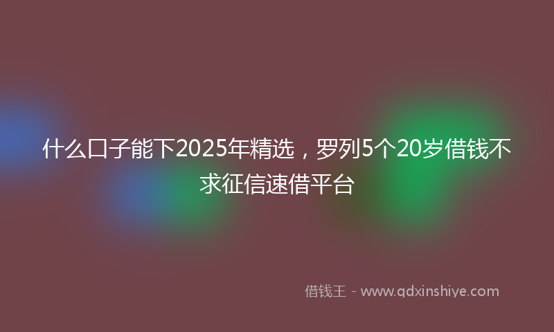 什么口子能下2025年精选，罗列5个20岁借钱不求征信速借平台