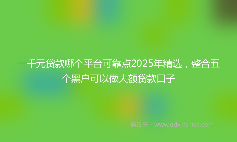 一千元贷款哪个平台可靠点2025年精选，整合五个黑户可以做大额贷款口子