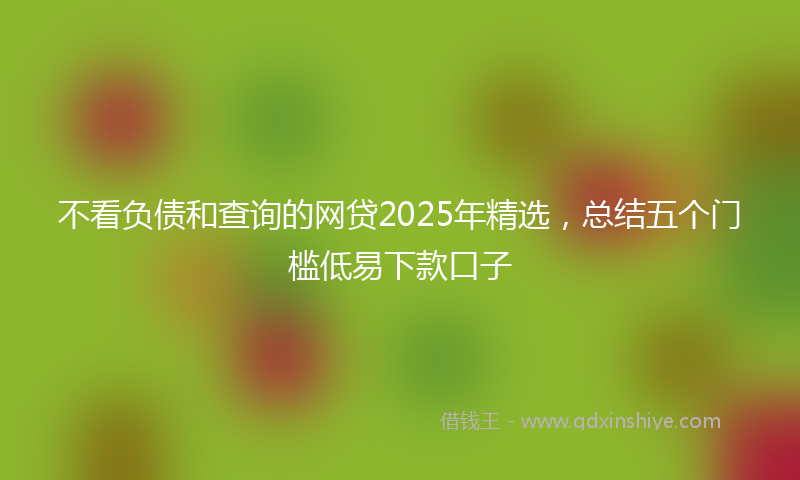不看负债和查询的网贷2025年精选，总结五个门槛低易下款口子