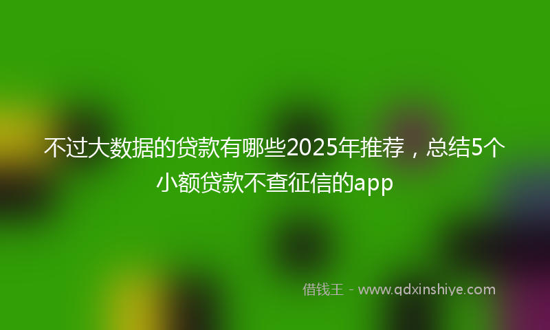 不过大数据的贷款有哪些2025年推荐，总结5个小额贷款不查征信的app