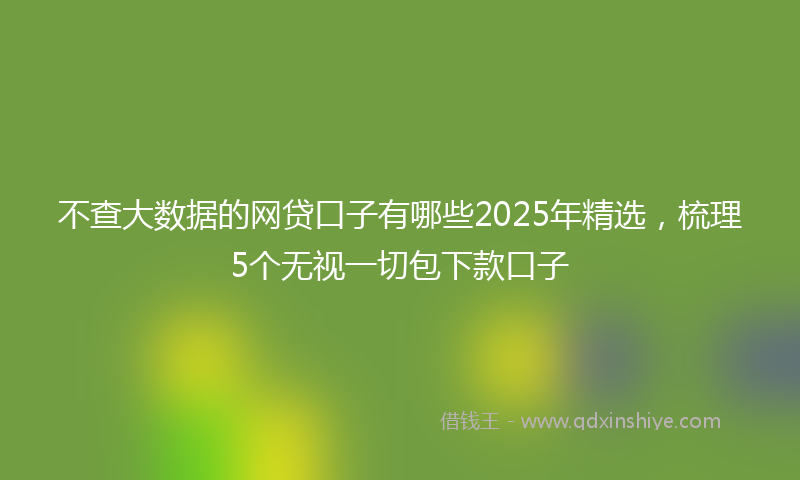 不查大数据的网贷口子有哪些2025年精选，梳理5个无视一切包下款口子