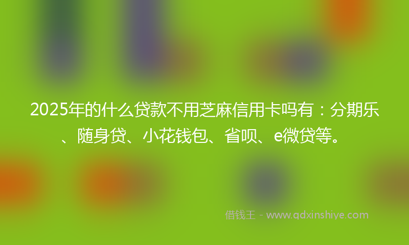 2025年的什么贷款不用芝麻信用卡吗有：分期乐、随身贷、小花钱包、省呗、e微贷等。