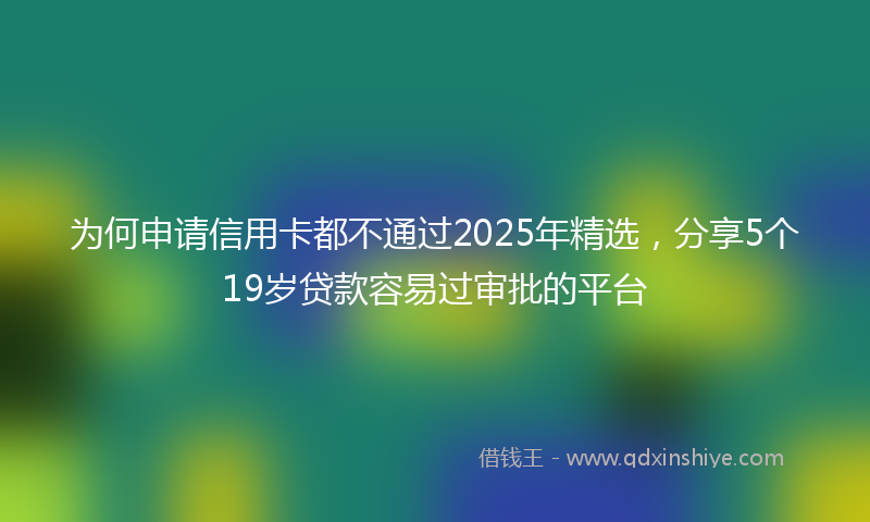 为何申请信用卡都不通过2025年精选，分享5个19岁贷款容易过审批的平台