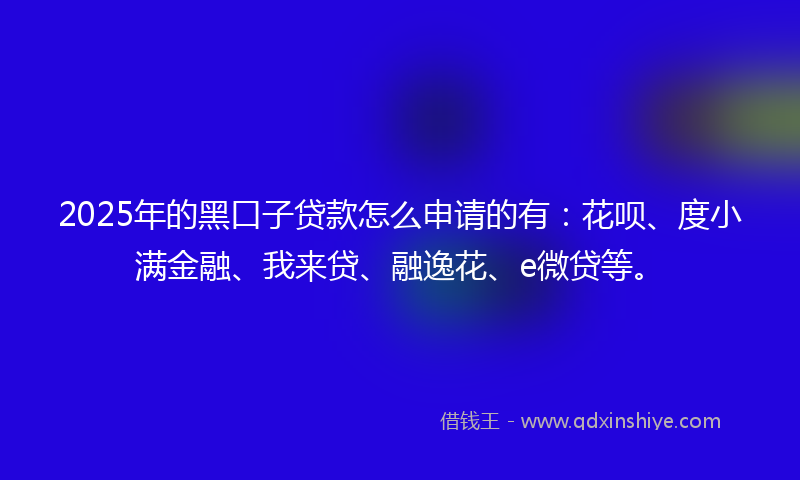 2025年的黑口子贷款怎么申请的有：花呗、度小满金融、我来贷、融逸花、e微贷等。