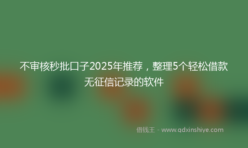 不审核秒批口子2025年推荐，整理5个轻松借款无征信记录的软件