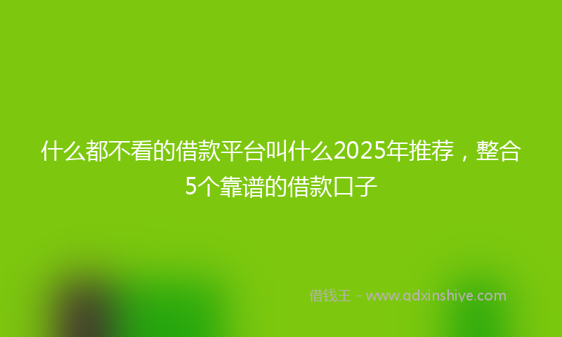 什么都不看的借款平台叫什么2025年推荐，整合5个靠谱的借款口子