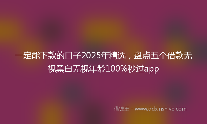 一定能下款的口子2025年精选，盘点五个借款无视黑白无视年龄100%秒过app