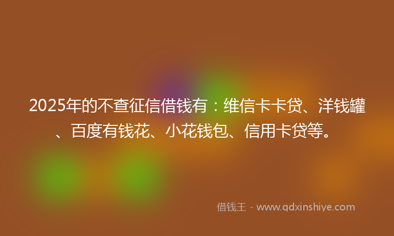 2025年的不查征信借钱有：维信卡卡贷、洋钱罐、百度有钱花、小花钱包、信用卡贷等。