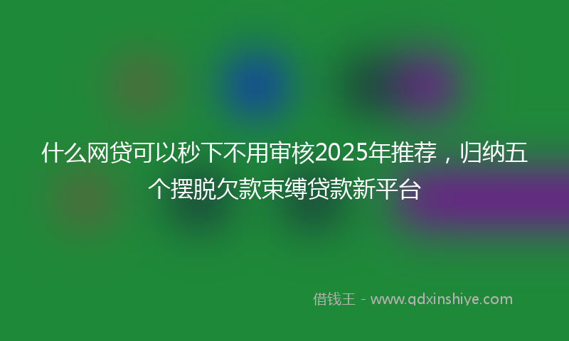 什么网贷可以秒下不用审核2025年推荐，归纳五个摆脱欠款束缚贷款新平台