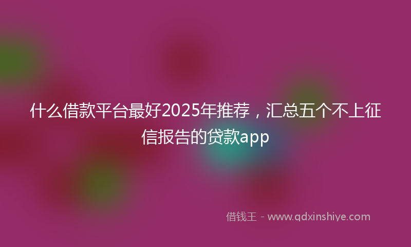 什么借款平台最好2025年推荐，汇总五个不上征信报告的贷款app