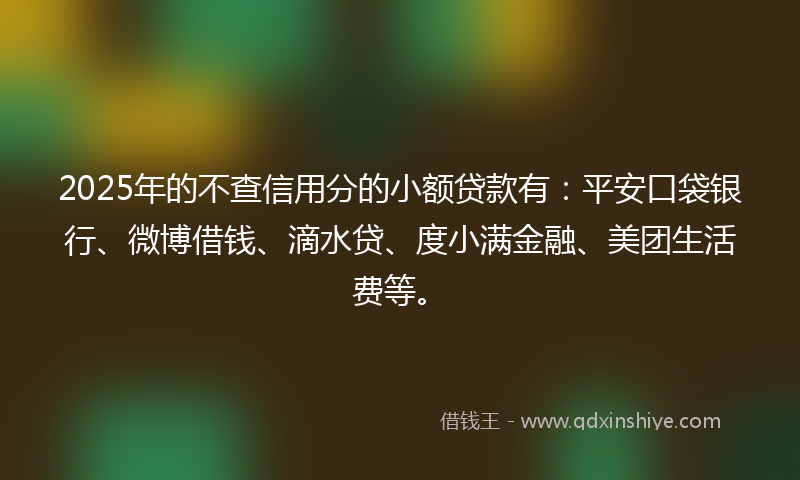 2025年的不查信用分的小额贷款有：平安口袋银行、微博借钱、滴水贷、度小满金融、美团生活费等。