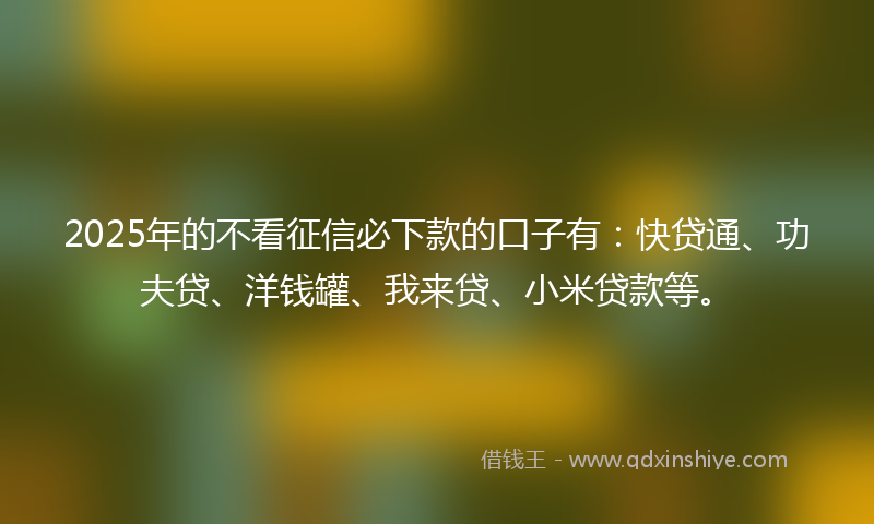 2025年的不看征信必下款的口子有：快贷通、功夫贷、洋钱罐、我来贷、小米贷款等。