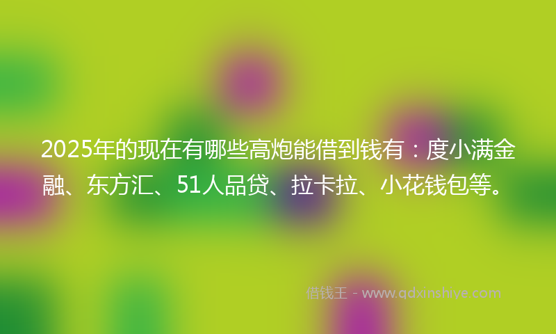 2025年的现在有哪些高炮能借到钱有：度小满金融、东方汇、51人品贷、拉卡拉、小花钱包等。