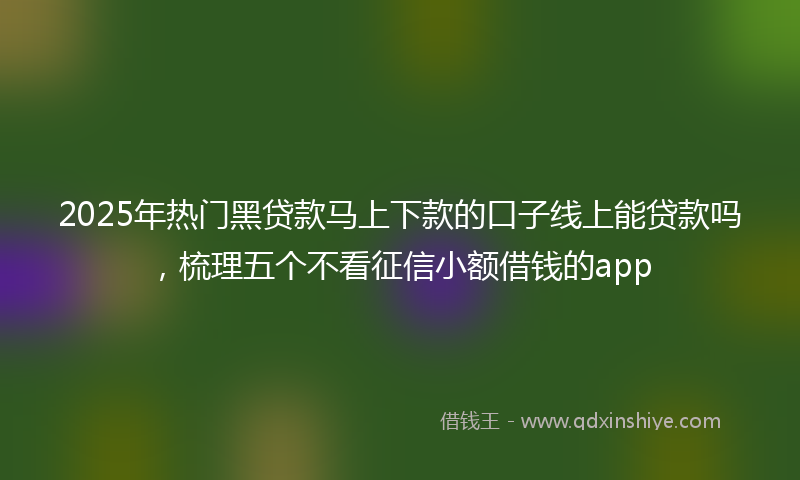 2025年热门黑贷款马上下款的口子线上能贷款吗，梳理五个不看征信小额借钱的app