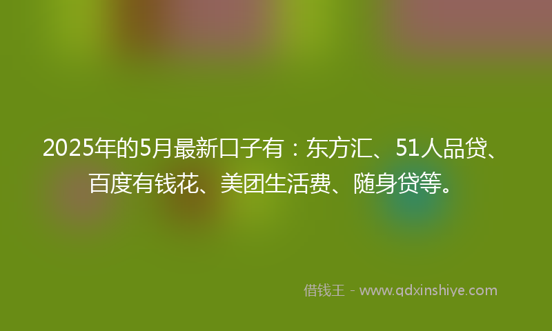 2025年的5月最新口子有：东方汇、51人品贷、百度有钱花、美团生活费、随身贷等。