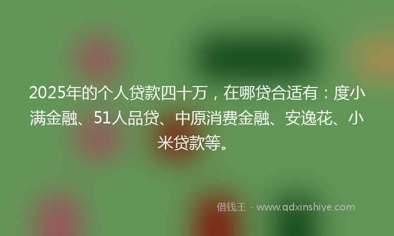 2025年的个人贷款四十万，在哪贷合适有：度小满金融、51人品贷、中原消费金融、安逸花、小米贷款等。