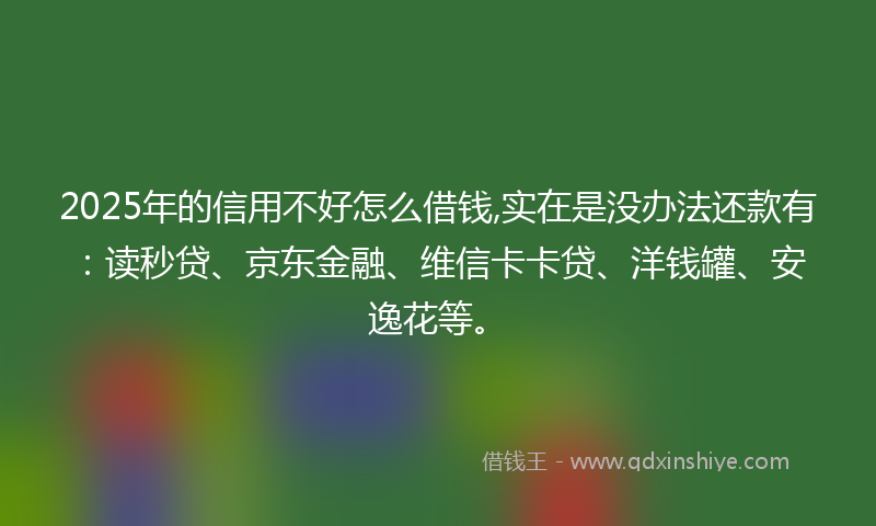 2025年的信用不好怎么借钱,实在是没办法还款有：读秒贷、京东金融、维信卡卡贷、洋钱罐、安逸花等。