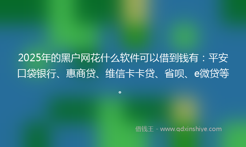 2025年的黑户网花什么软件可以借到钱有:平安口袋银行、惠商贷、维信卡卡贷、省呗、e微贷等。