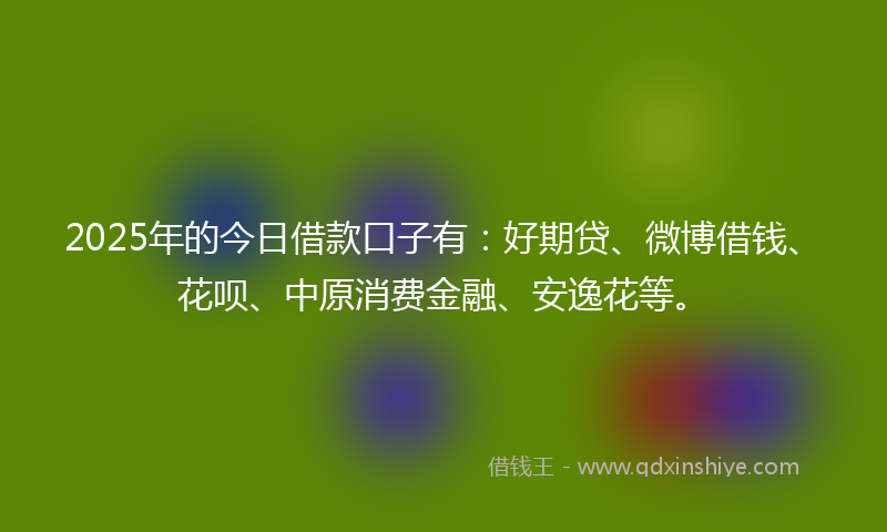 2025年的今日借款口子有：好期贷、微博借钱、花呗、中原消费金融、安逸花等。