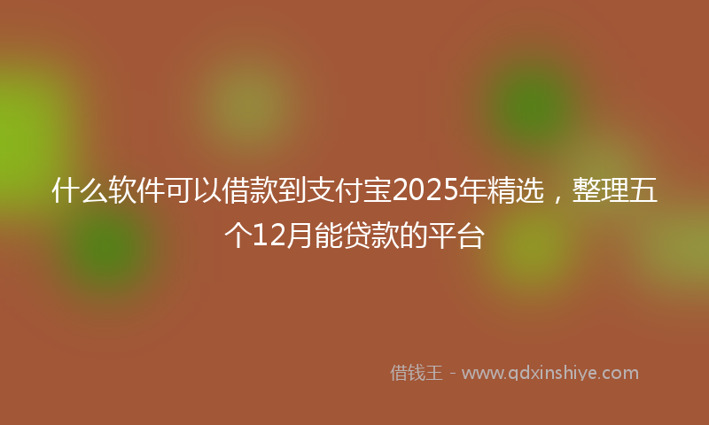 什么软件可以借款到支付宝2025年精选，整理五个12月能贷款的平台