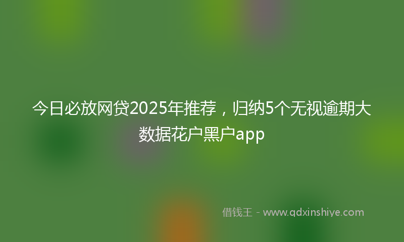 今日必放网贷2025年推荐，归纳5个无视逾期大数据花户黑户app